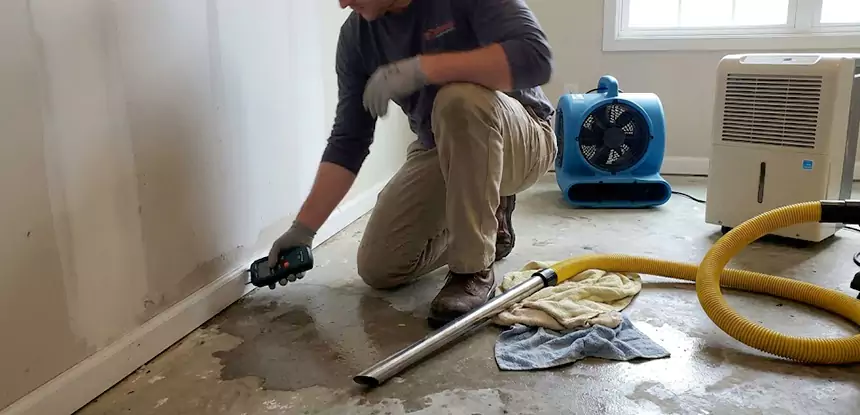 Professional Interior Water Damage Repair Services in Palmer Lake, CO