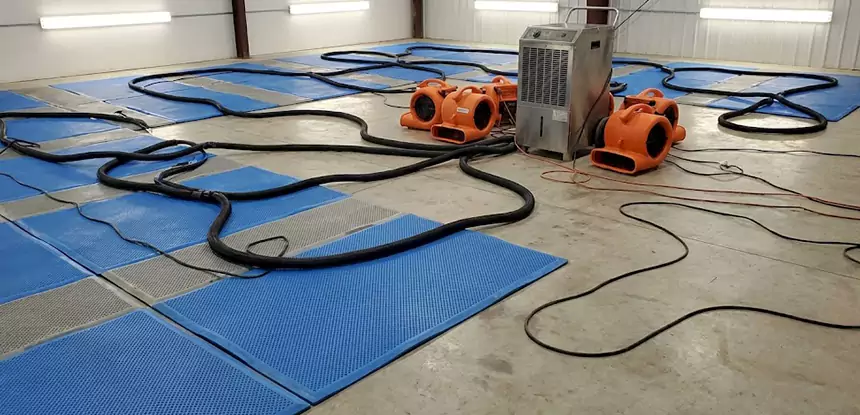 Large-Scale Water Cleanup in Palmer Lake