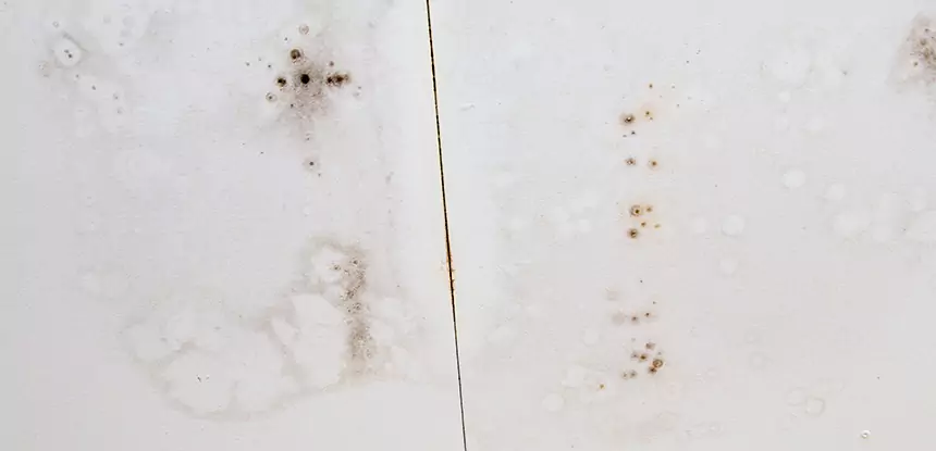 Professional Water Stain Repair Services in Palmer Lake, CO
