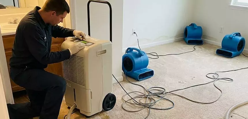 Professional Wet Carpet Removal Services in Palmer Lake, CO