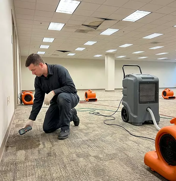 Why Palmer Lake Businesses Choose Palmer Lake Restoration Pro for Water Cleanup?
