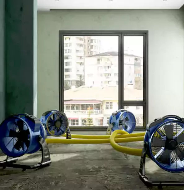 Why Palmer Lake Property Owners Trust Palmer Lake Restoration Pro for Water Damage Drying?