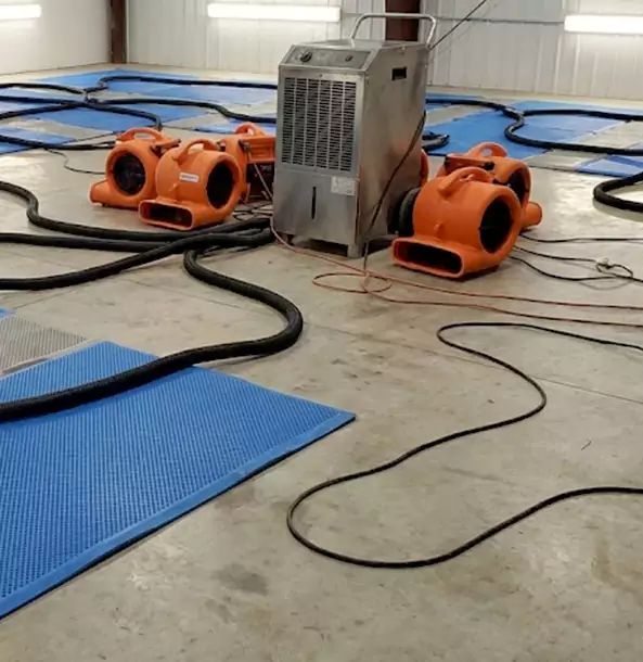 Why Palmer Lake Homeowners and Businesses Choose Palmer Lake Restoration Pro for Wet Carpet Removal?