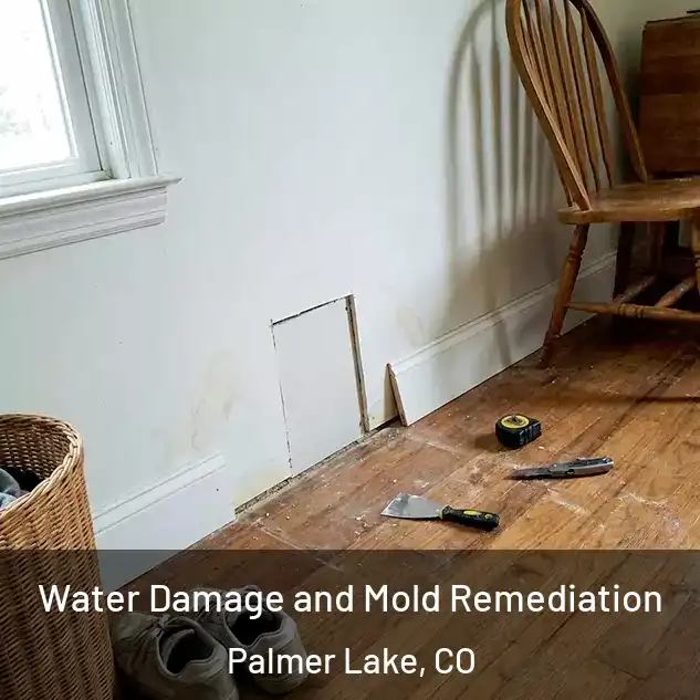  Water Damage and Mold Remediation Palmer Lake, CO